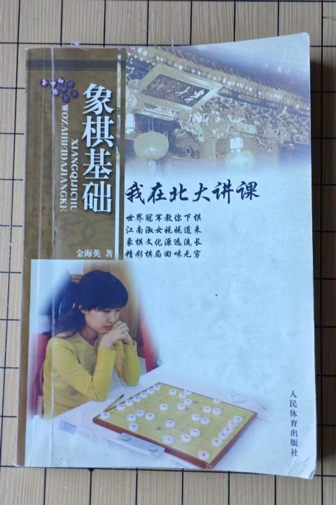 北大硕士金海英：从“业余棋后”到棋坛大满贯的儒雅传奇 - 象棋记忆之墨宝沉香（6）