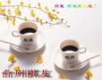 ͼƬ´ڴ򿪲鿴